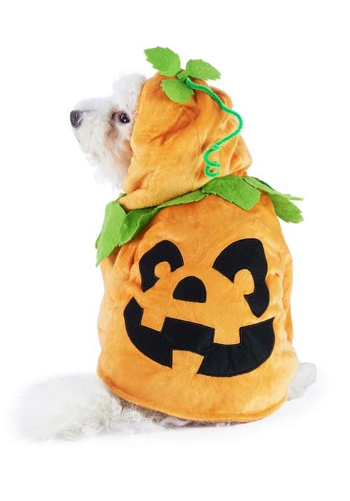 Pumpkin Dog Costume