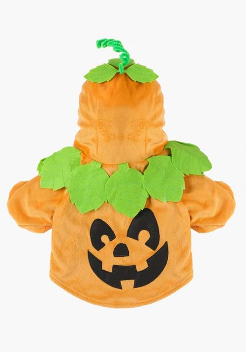 Pumpkin Dog Costume