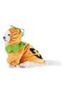 Pumpkin Pet Costume Alt 2