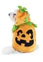 Pumpkin Pet Costume Alt 1
