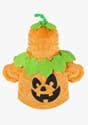 Pumpkin Pet Costume Alt 4