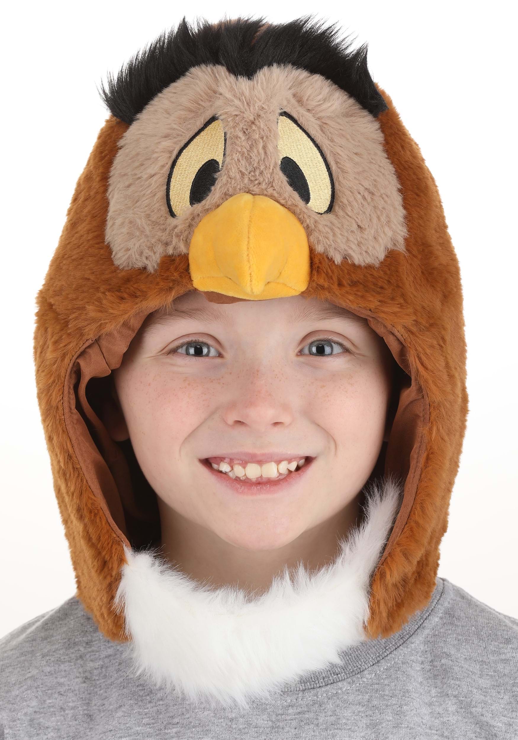 Disney Winnie The Pooh Owl Costume Hood , Disney Accessories