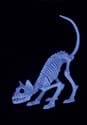 11 Inch Black Light Ghostly Kitty Skeleton