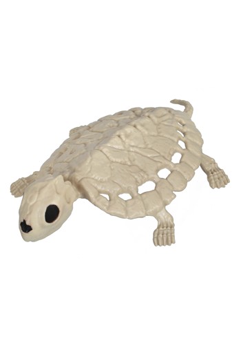 8-Inch Turtle Skeleton Decoration | Animal Decorations