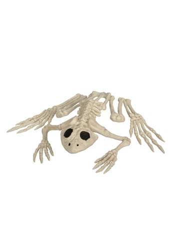 8-Inch Frog Skeleton Bones Decoration | Animal Skeletons