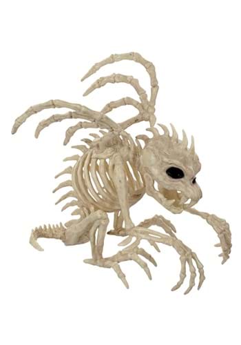 10 Inch Gargoyle Skeleton Decoration