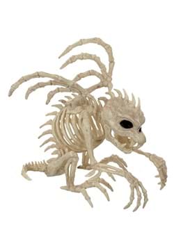 10 Inch Gargoyle Skeleton Decoration