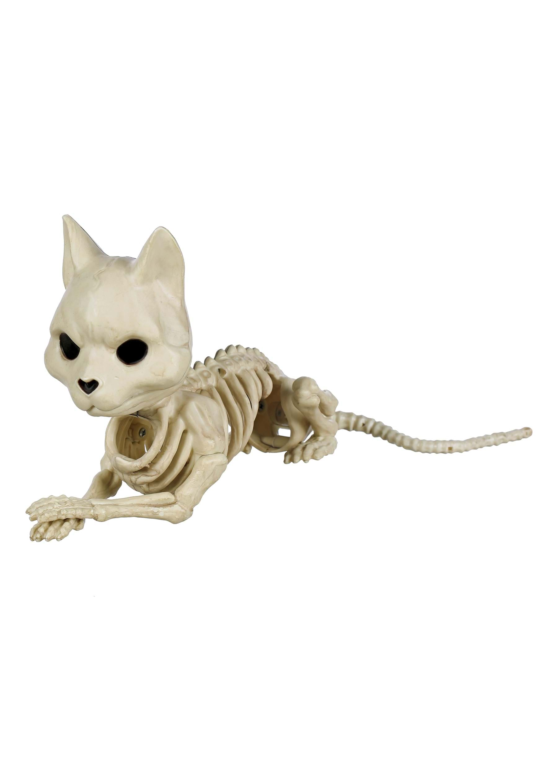 Keira the Cat Skeleton ~ $30