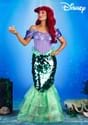 The Little Mermaid Adult Premium Ariel Mermaid Dress