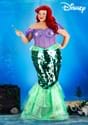 Plus Size Disney Mermaid Ariel Costume