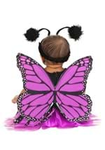 Infant Purple Butterfly Costume Alt 1
