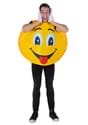 Adult Emoji Smiley Costume Alt 3