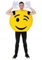 Adult Emoji Wink Smiley