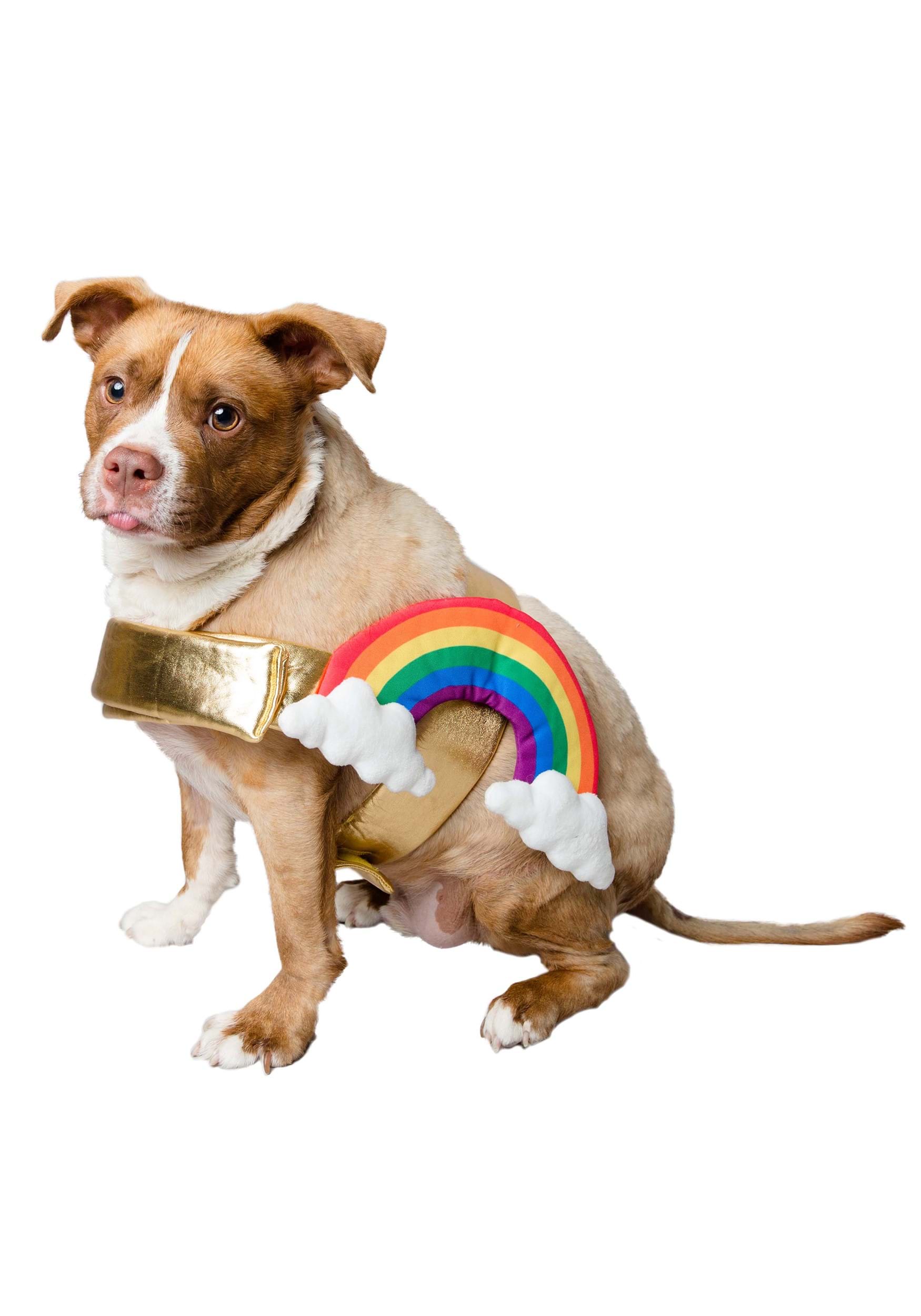 Disfraz de arcoiris para mascotas Multicolor Colombia