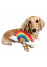 Rainbow Pet Costume Alt 1
