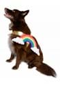 Rainbow Pet Costume Alt 3