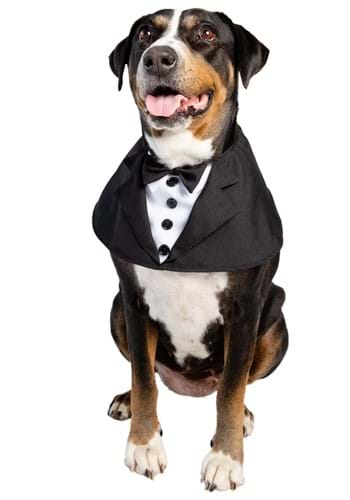 Tuxedo Pet Costume