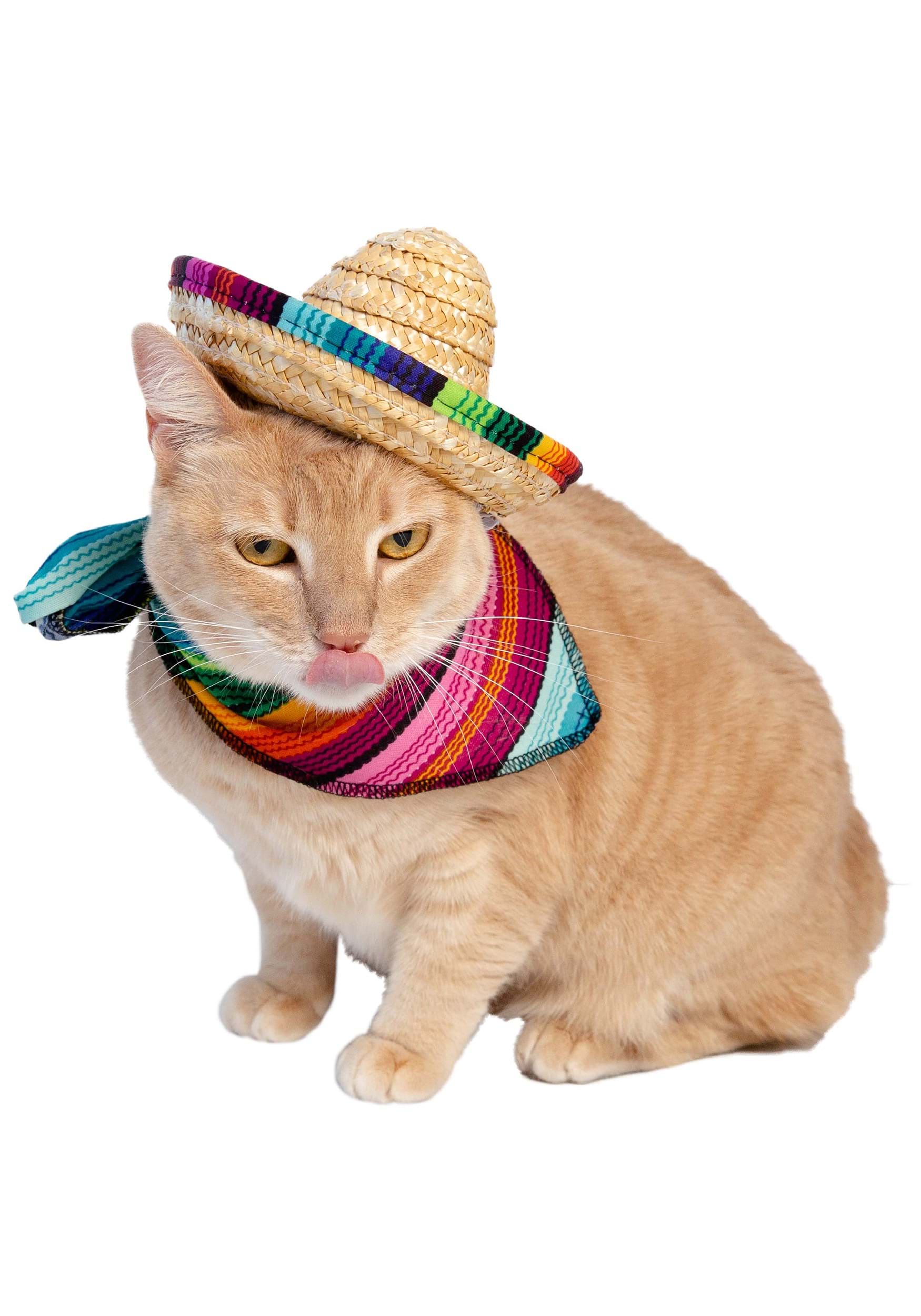 Set de vestuario para mascotas de bandana y sombrero Multicolor Colombia