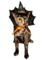 Witch Hat & Collar Pet Set Alt 1