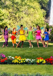 Adult Disney Tinker Bell Costume Disney Costumes