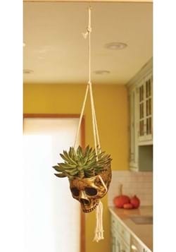 Hanging Skull Gold Color Planter