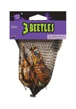 Enchanted Metallic Set of 3 Beetles Alt 1