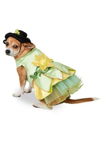 Pet Princess and the Frog Tiana Costume