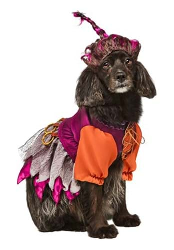 Disney Hocus Pocus Ride-On Sanderson Sisters Dog & Cat Costume, Large