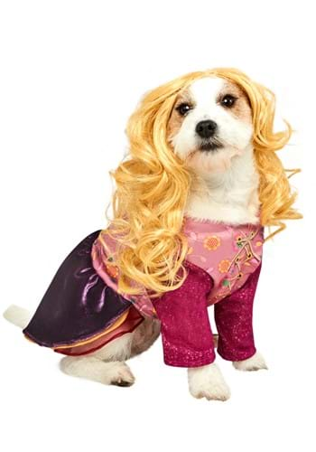 Disney Hocus Pocus Winifred Sanderson Dog Costume. Face Swap. Insert Your  Face ID:921430