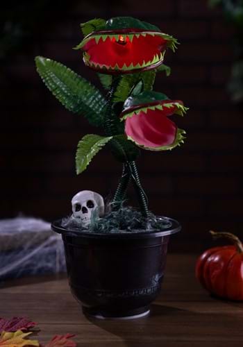 15-Inch Corpse Flower Dancing Plant Decoration | Table Decorations
