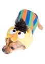 Sesame Street Bert Pet Costume