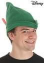 Disney Green Peter Pan Costume Hat-main