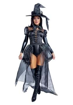 Women's Wicked Witch Costume