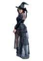 Women's Plus Size Wicked Witch Costume Alt 1