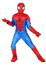 Boys Spider Man Costume--2