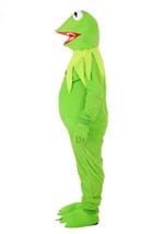 Plus Size Disney Kermit Costume Alt 2