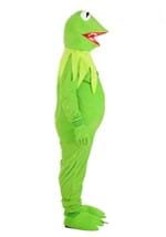 Plus Size Disney Kermit Costume Alt 3