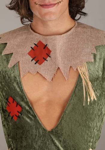 Sexy Men's Scarecrow Costume