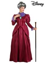 Cinderella Deluxe Adult Lady Tremaine Costume Alt 6