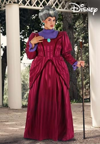 Plus Size Women's Cinderella Fairy Godmother Costume