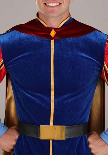 Men's Plus Size Disney Sleeping Beauty Prince Phillip Costume