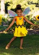 Toddler Disney Fairies Iridessa Costume new