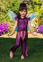 Toddler Disney Fairies Vidia Costume new