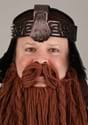 Lord of the Rings Gimli Hat and Beard Alt 2