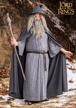 Plus Size Gandalf Lord of the Rings Costume