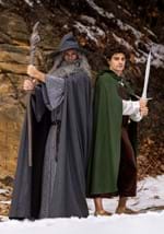 Plus Size Gandalf Lord of the Rings Costume Alt 2