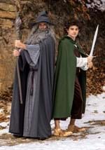 Plus Size Gandalf Lord of the Rings Costume Alt 3