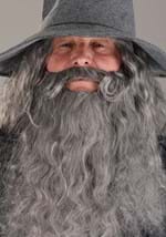 Plus Size Gandalf Lord of the Rings Costume Alt 6