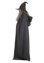 Plus Size Gandalf Lord of the Rings Costume Alt 10