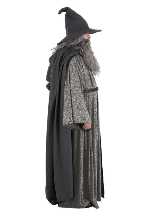 Men's Plus Size Gandalf Lord of the Rings Costume